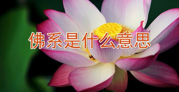 佛系是什么意思