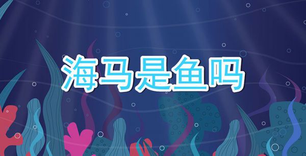 海马是鱼吗