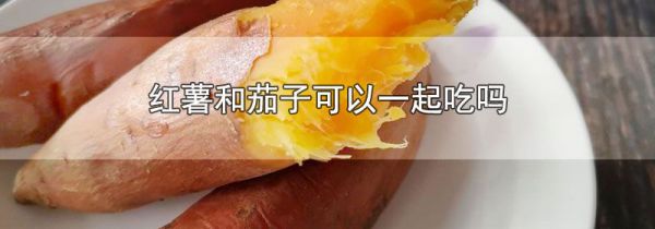 红薯和茄子可以一起吃吗