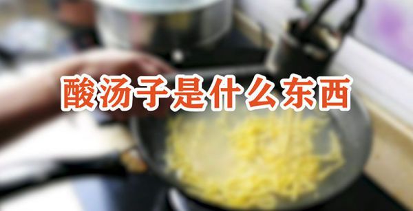 酸汤子是什么东西