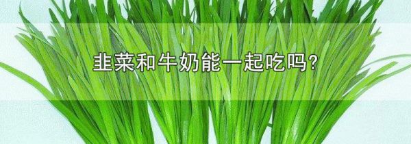 韭菜和牛奶能一起吃吗?