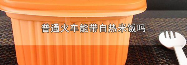 普通火车能带自热米饭吗