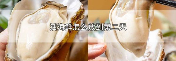 活海鲜怎么放到第二天