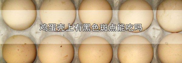 鸡蛋壳上有黑色斑点能吃吗