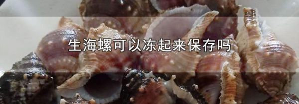 生海螺可以冻起来保存吗