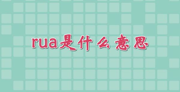 rua是什么意思