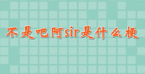 不是吧阿sir是什么梗