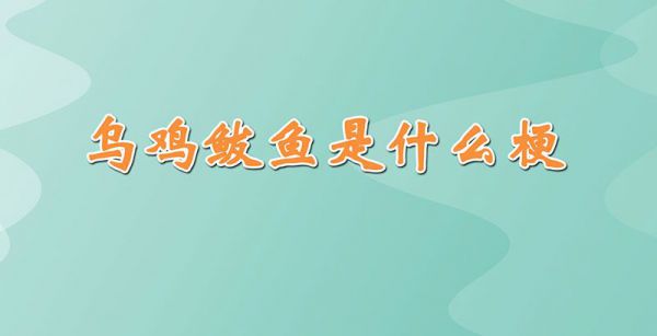 乌鸡鲅鱼是什么梗