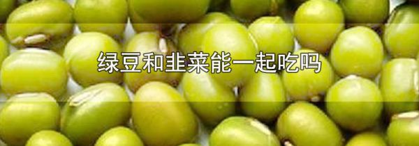 绿豆和韭菜能一起吃吗
