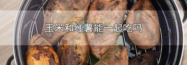 玉米和红薯能一起吃吗