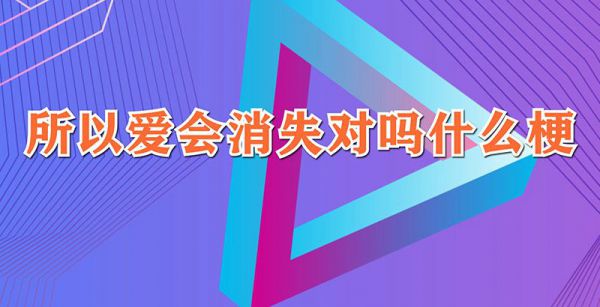 所以爱会消失对吗什么梗