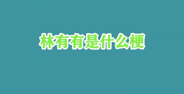 林有有是什么梗