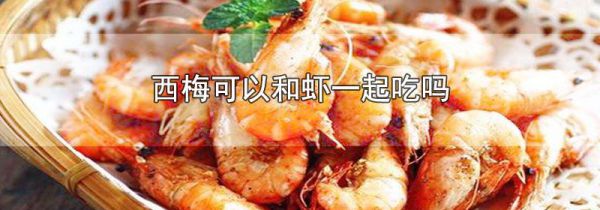 西梅可以和虾一起吃吗