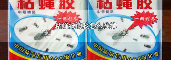 粘蝇纸的胶怎么洗掉