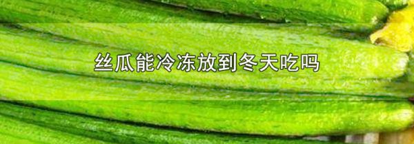 丝瓜能冷冻放到冬天吃吗