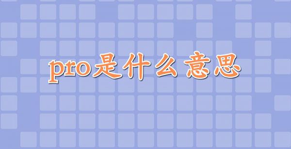 pro是什么意思中文