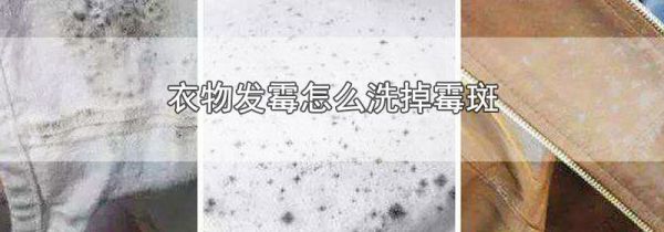 衣物发霉怎么洗掉霉斑