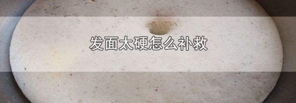 发面太硬怎么补救