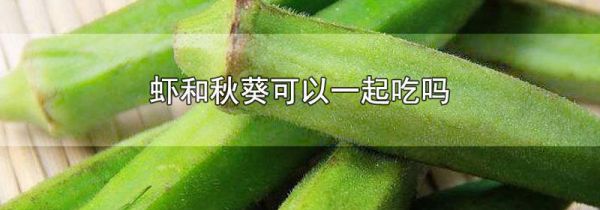 虾和秋葵可以一起吃吗