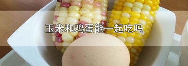玉米和鸡蛋能一起吃吗