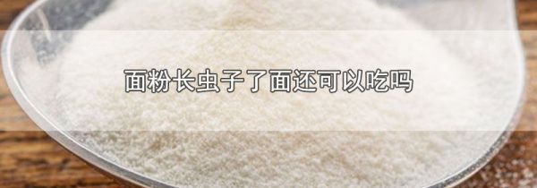 面粉长虫子了面还可以吃吗