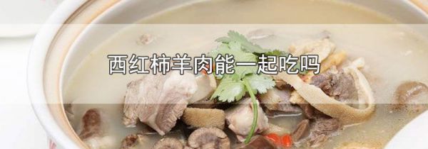 西红柿羊肉能一起吃吗