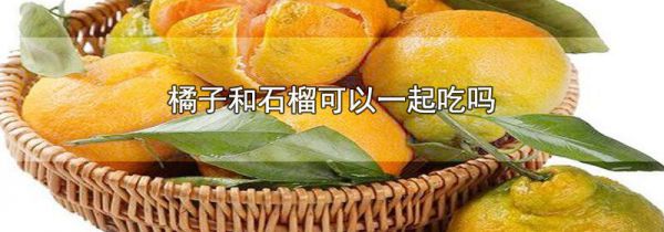 橘子和石榴可以一起吃吗