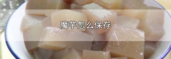 魔芋怎么保存