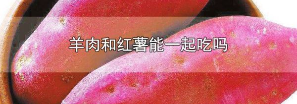 羊肉和红薯能一起吃吗