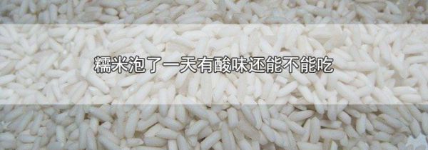 糯米泡了一天有酸味还能不能吃
