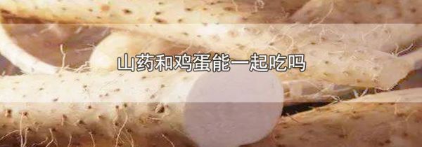 山药和鸡蛋能一起吃吗