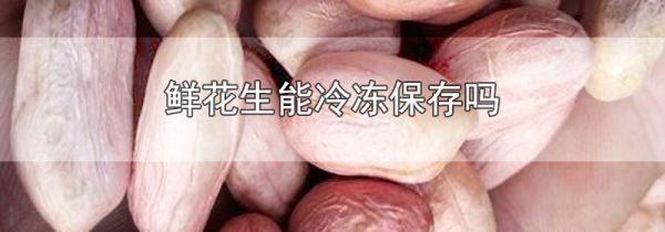 鲜花生能冷冻保存吗