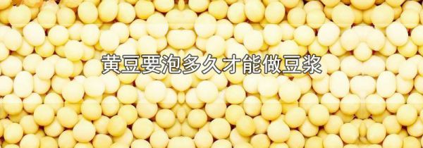 黄豆要泡多久才能做豆浆