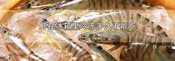 虾在冰箱里冷冻多久不能吃