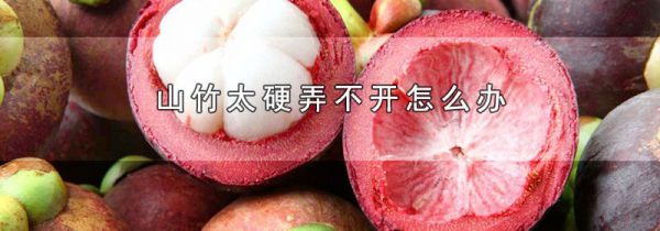 山竹太硬弄不开怎么办