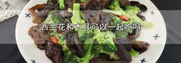 西兰花和木耳可以一起吃吗