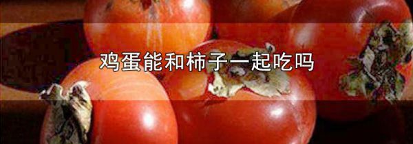 鸡蛋能和柿子一起吃吗