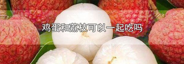鸡蛋和荔枝可以一起吃吗