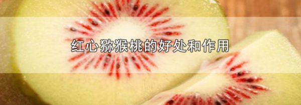 红心猕猴桃的好处和作用