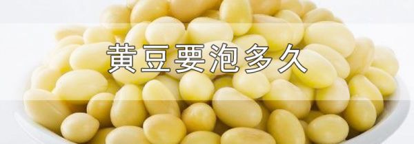 黄豆要泡多久