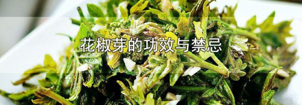 花椒芽的功效与禁忌