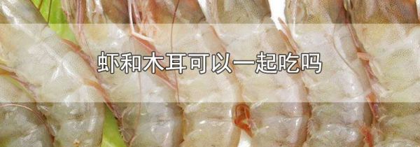 虾和木耳可以一起吃吗