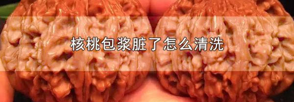 核桃包浆脏了怎么清洗