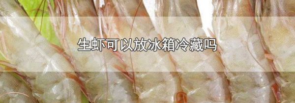 生虾可以放冰箱冷藏吗