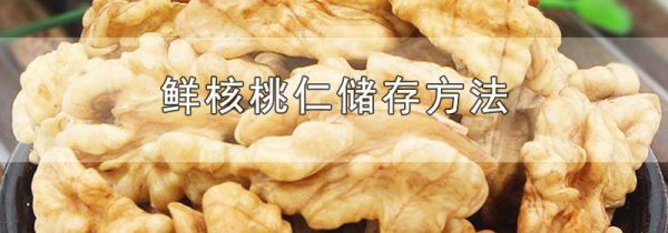 鲜核桃仁储存方法