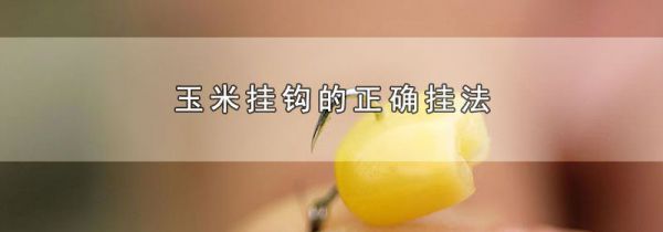 玉米挂钩的正确挂法