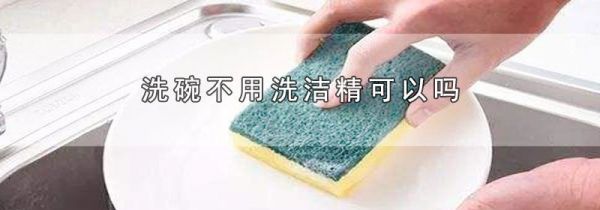 洗碗不用洗洁精可以吗