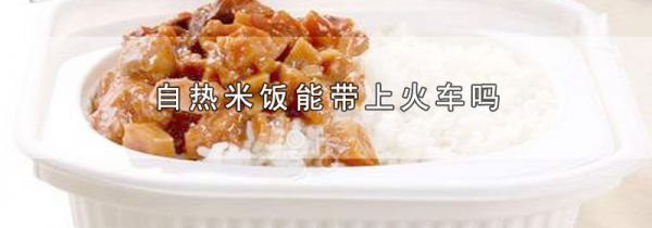 自热米饭能带上火车吗