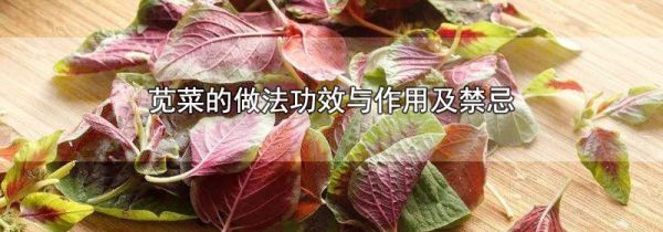 苋菜的做法功效与作用及禁忌