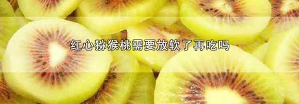 红心猕猴桃需要放软了再吃吗
